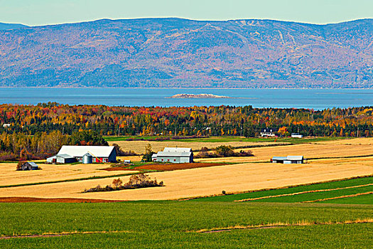 农场,魁北克,加拿大
