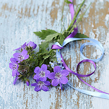 花,蓝色,紫色