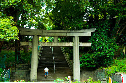 日本东京,上野公园,阶梯入口的鸟居