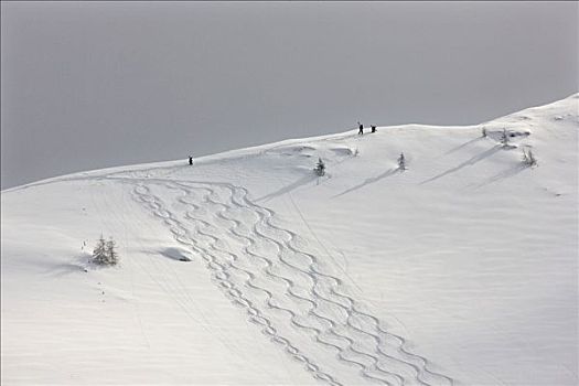 滑雪者,途中,北方,提洛尔,奥地利,欧洲