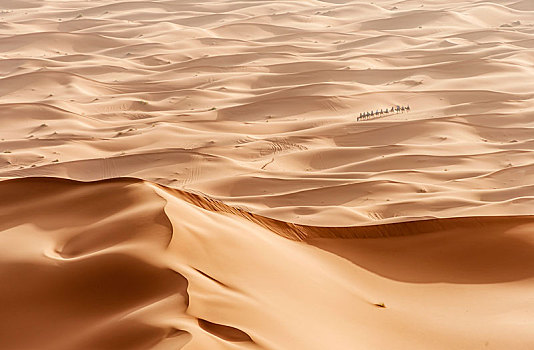 驼队,沙丘,沙漠,风景,却比沙丘,梅如卡,撒哈拉沙漠,摩洛哥,非洲