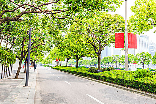 树,装饰,道路,现代,城市