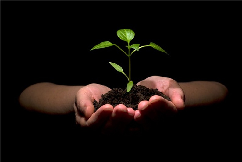 新生命图片_新生命高清图片_全景视觉