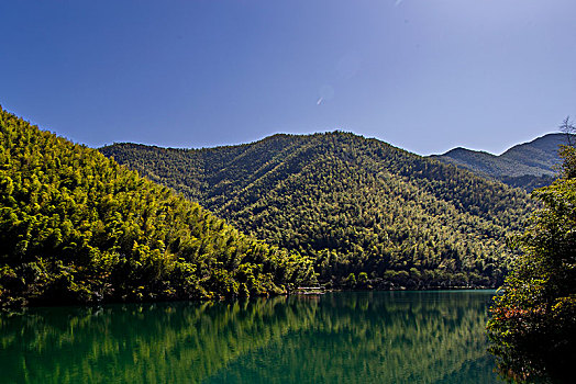 南山竹海