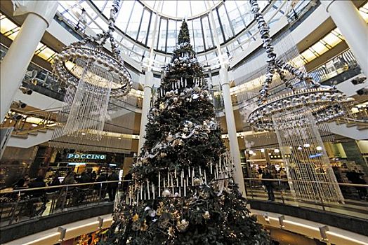 巨大,圣诞树,购物中心,北莱茵威斯特伐利亚,德国,欧洲