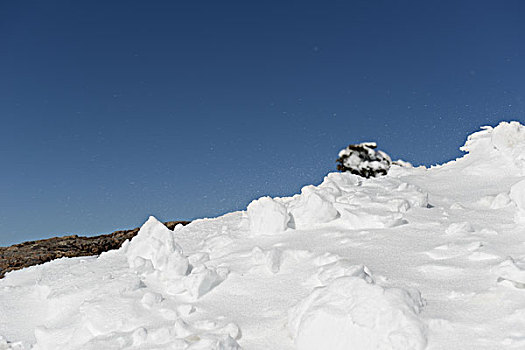 雪