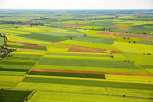 农业,地点,东方,格丹斯克,旷野,波罗的海岸,波美拉尼亚,波兰