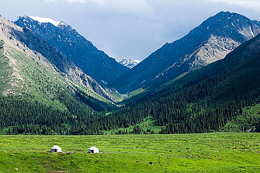新疆伊犁地区－乔尔玛