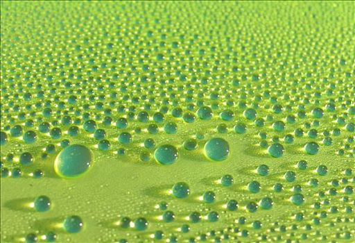 特写,水滴,绿色,表面