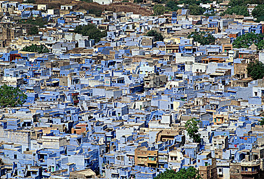 蓝色,房子,婆罗门,拉贾斯坦邦,印度,亚洲
