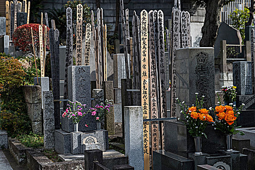 墓地,东京