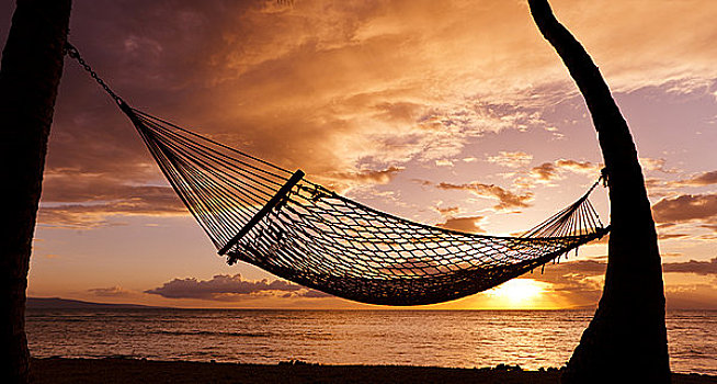 夏威夷,毛伊岛,剪影,吊床,悬挂,两个,棕榈树,靠近,海洋,日落