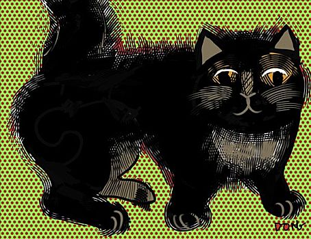 黑猫,2007年,电脑制图