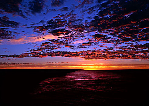 早晨,日出,云,上方,澳大利亚,曲线