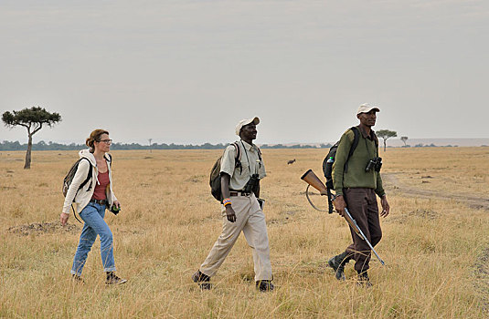 游客,武装,引导,走,旅游,塞伦盖蒂,裂谷省,肯尼亚,非洲