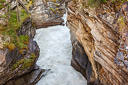 加拿大,艾伯塔省,碧玉国家公园,峡谷,仰视,阿萨巴斯卡瀑布