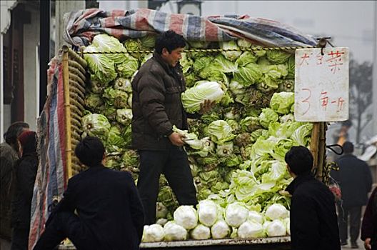 中国,江苏,苏州,城市,一个,男人,销售,卸载,卷心菜,卡车