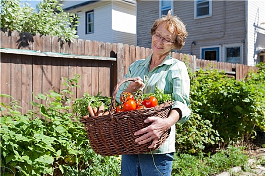 老年,女人,蔬菜,花园