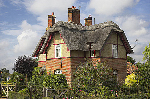英格兰,茅草屋顶,房子,漂亮,乡村