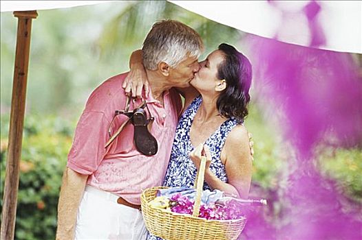 加勒比海,巴巴多斯,老年,夫妻,吻,女人,拿着,野餐篮