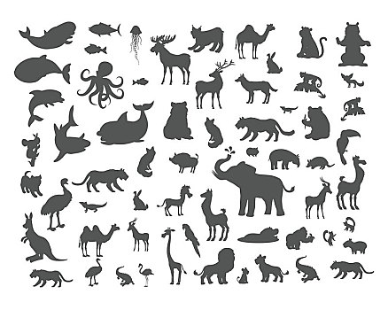哺乳动物,鸟,鱼,爬行动物,蝙蝠,动物,剪影,两栖动物,世界,概念,北方,南美,欧洲,非洲,亚洲,澳大利亚,矢量,象征