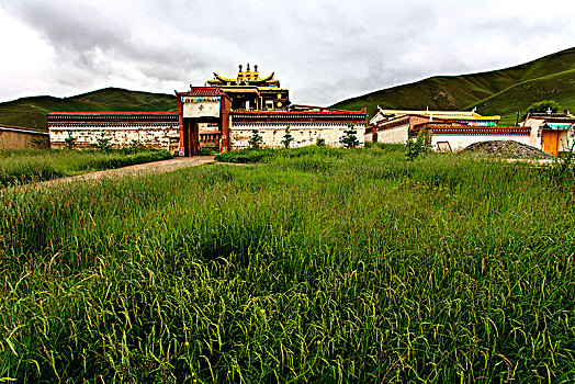 青海阿柔大寺