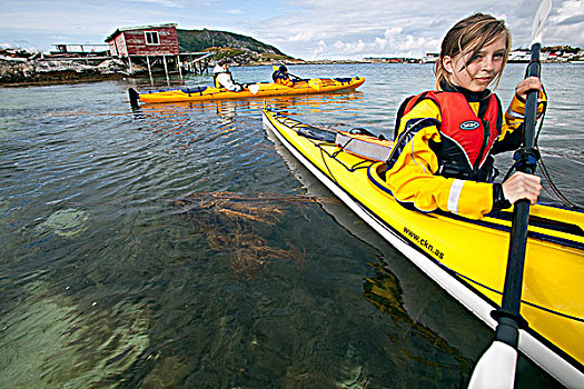 挪威,特罗姆瑟,区域,岛屿,家庭,拿,静水,峡湾,学习,海上皮划艇