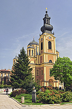 大教堂,教堂,圣诞,萨拉热窝,波斯尼亚,塞尔维亚,东正教