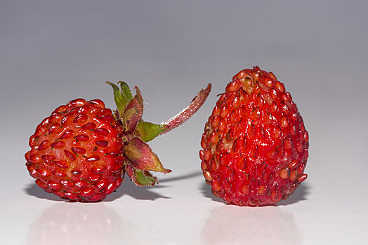 树林,草莓,野草莓,白色背景,棚拍