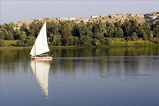 河,埃及