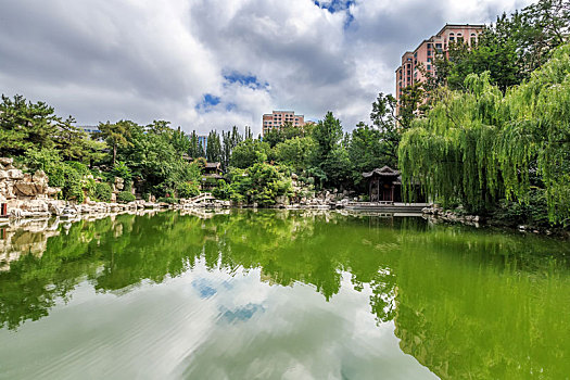 蓝天白云下的池塘风景,中国山东省潍坊市归真园