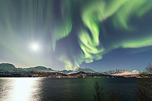 北极光,月亮,反射,寒冷,海洋,极地,夜晚,阿尔卑斯山,挪威,欧洲