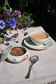 喝茶,花园