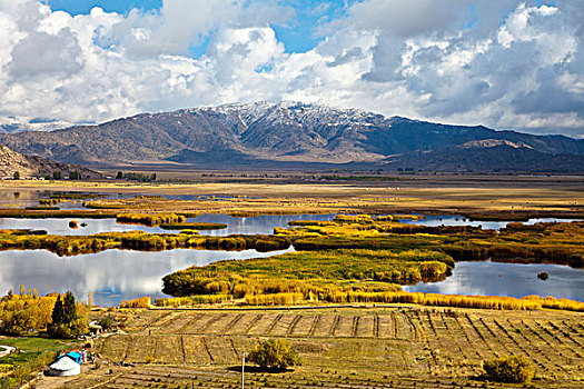 新疆阿勒泰富蕴县可可苏里野鸭湖秋天