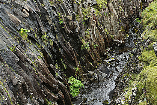 冰岛,玄武岩,柱子,河流,床,雨,湿