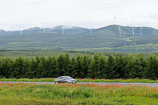 河北承德坝上,国家一道风景大道,夏日风景