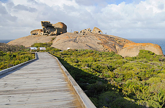 石头,袋鼠,岛屿,南澳大利亚州,澳大利亚,大洋洲
