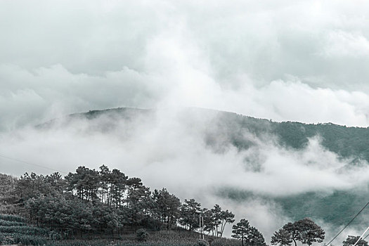 乡村旅游