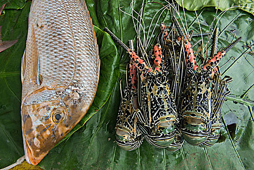 涂绘,大螯虾,海鲜,市场,维提岛,斐济