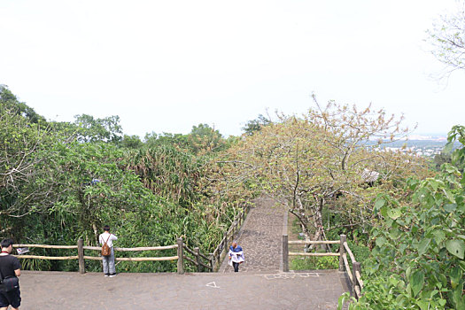 海口市火山口景区