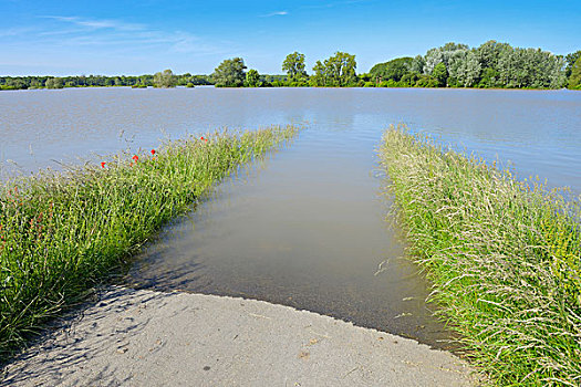 洪水,区域,自然保护区,黑森州,德国,欧洲