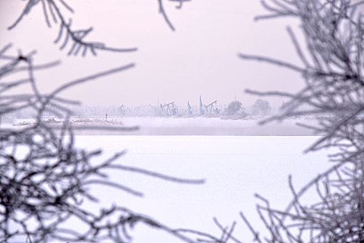 冬季油城雾凇美景
