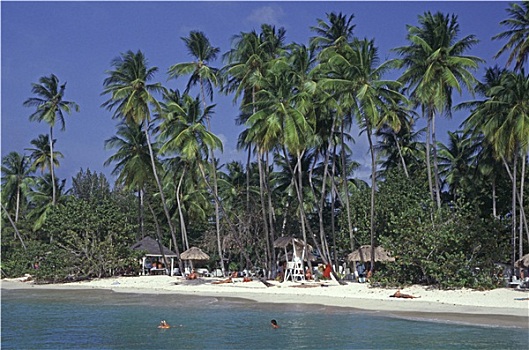 海岸,多巴哥岛
