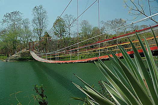 吊桥,旅游,湖,孟加拉,2007年