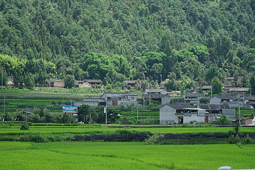 田野乡村