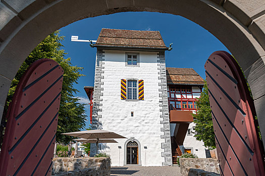 城堡,市区,瑞士