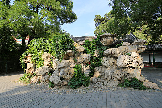 北京颐和园宜芸馆狮子林假山石