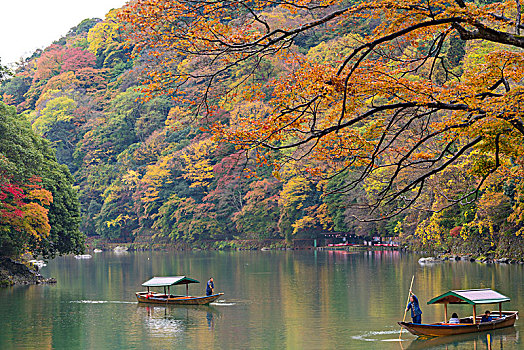 秋日风光,树,两个,平底船,河