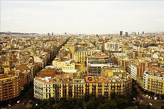 俯拍,城市,巴塞罗那,西班牙