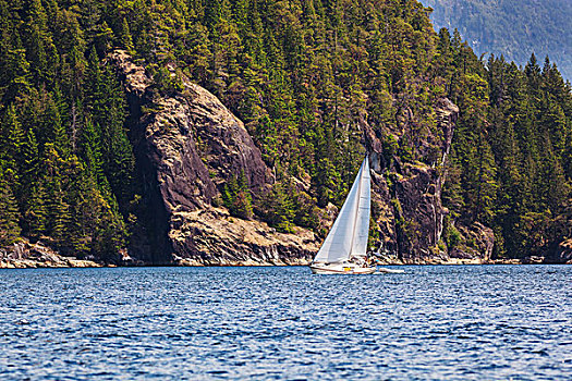 一个,男人,帆,帆船,荒凉,声音,不列颠哥伦比亚省,加拿大